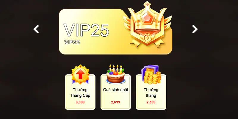 Trải Nghiệm Dịch Vụ Ưu Đãi Từ Tài Khoản Vip 789win